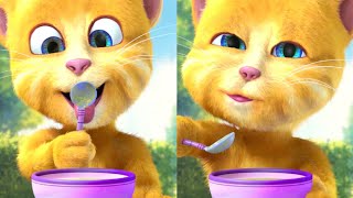 My talking ginger two cat funny video enjoy cake celebrate