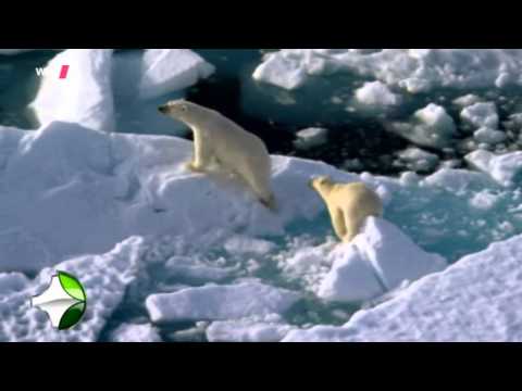 die grosse show der naturwunder