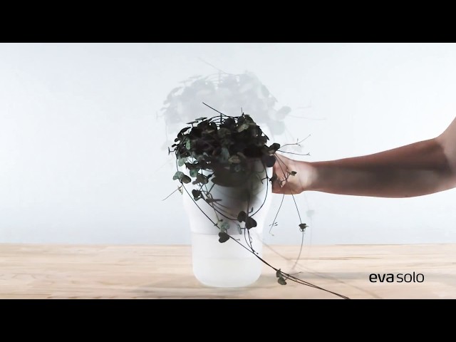 Vidéo teaser pour Self watering pots - Eva Solo