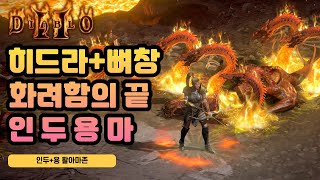 디아2 가장 화려한 활아마존 인두용마! 성능도 준수?!