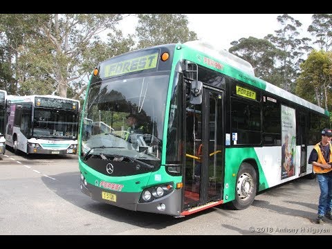 Forest Coach Lines [Terrey Hills] Mercedes-Benz OC500LE / Custom Coaches CB80, m/o 5108