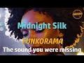 𝙁𝙐𝙉𝙆𝙊𝙍𝘼𝙈𝘼 – Midnight Silk 🌙 #funk  #soul  #disco  #80smusic