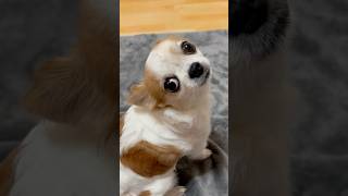 Download lagu 123-78 #shorts #boynextdoor #kpop #보넥도 mp3