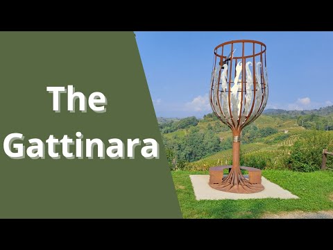 Gattinara DOCG The Pearl of Winemaking in Piedmont.