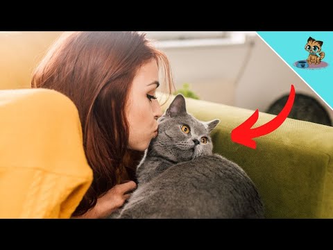 THIS is why you should NOT kiss your cat ⛔️