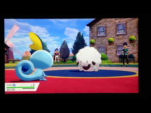 Benvenuti nella Regione di Galar! (parte 2)