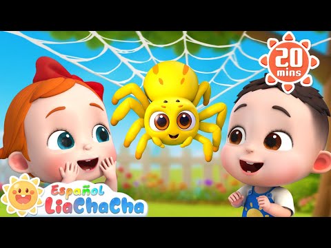 La Pequeñita Araña | Itsy Bitsy Spider | LiaChaCha en Español - Canciones Infantiles