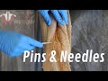 What Are "Pins & Needles"??