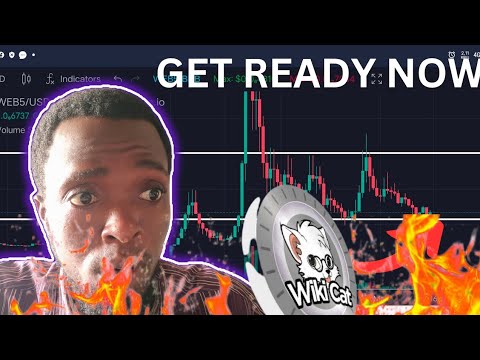 Wiki Cat Coin Update in 1:25 || JUST GET READY ||