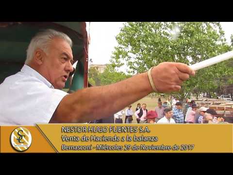 29-11-17 Venta de Gordo - Nestor Hugo Fuentes S.A. - Bernasconi