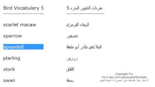 تعلم اللغة الانجليزية الدرس 60 اسماء الطيور بالانجليزي الجزء 5