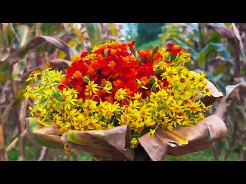 DIY Festival Bouquet With Bright Seasonal Flowers  #Crafts #LifeHacks #Viral #Trending