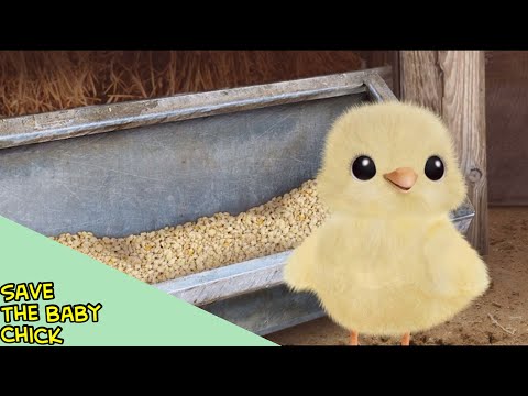 Wonder Pets In The City: Save The Baby Chick Episode 2b