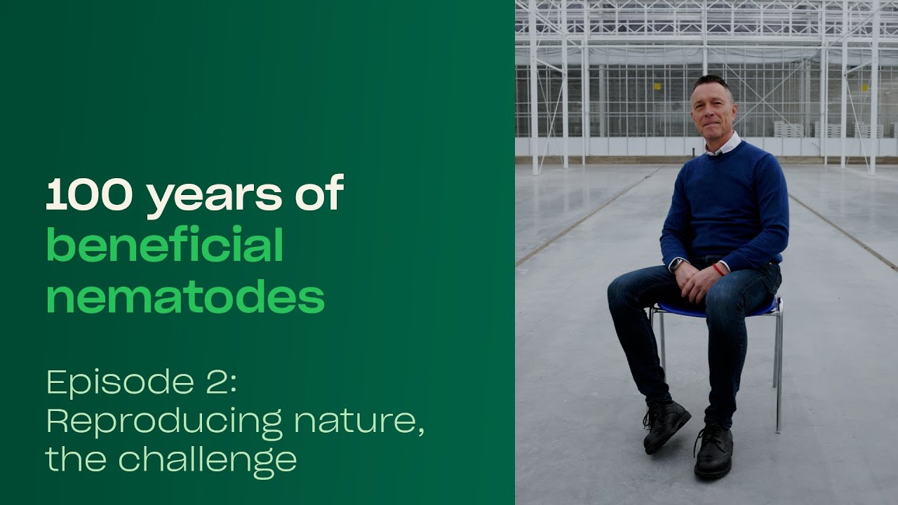 Video preview poster