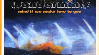 Wondermints - Time Has You