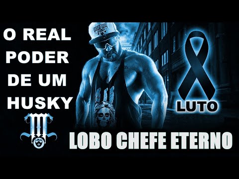 Jax feat Vinny - O real poder de um Husky (Homenagem ao Husky Lion) (Sidney Scaccio prod.)