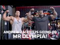How will Andrew Jacked Place at the Olympia?