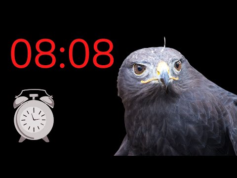 Heure MIROIR 08:08 : bonne nouvelle ? ⏰