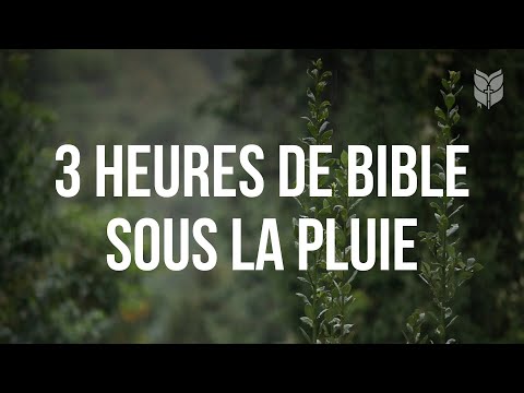 3 heures de Bible sous la pluie #bible #biblevision