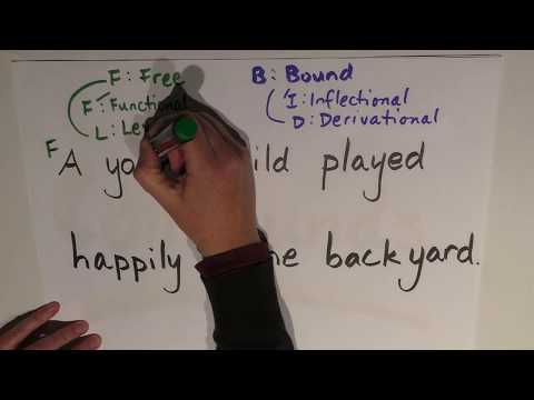 Morphology Episode 3 Lexical & Functional Morphemes