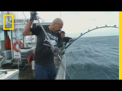 Catch of the Week - The Last Battle | Wicked Tuna