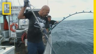The Last Battle  Wicked Tuna: Catch of the Week