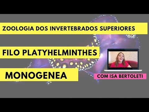 FILO PLATYHELMINTHES: CLASSE MONOGENEA • BERTOBIO
