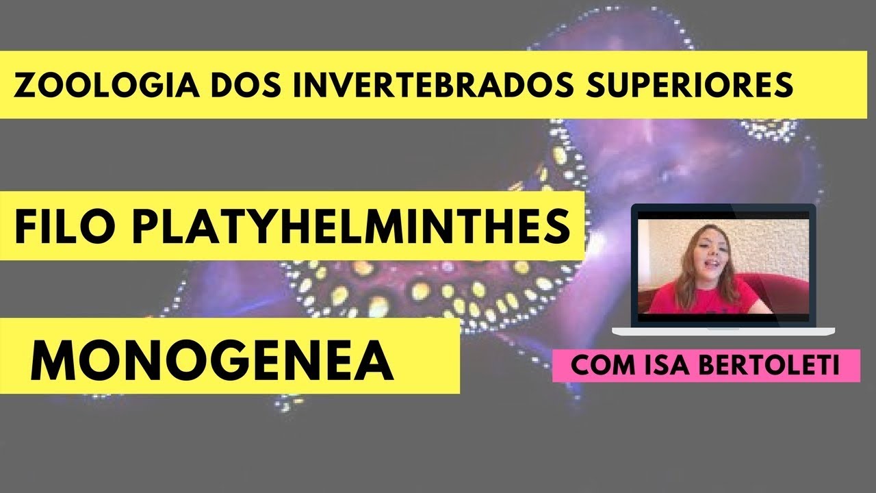 FILO PLATYHELMINTHES: CLASSE MONOGENEA • BERTOBIO