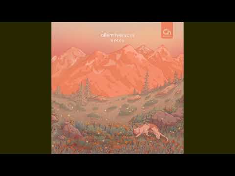 Allem Iversom - Gray