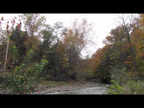 Into Blue (SANNA HARTFIELD VOCAL)