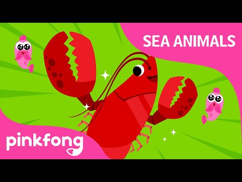 Clap Snap Lobster | Sea Animals Songs | Animal Songs | Pinkfong Songs for Children