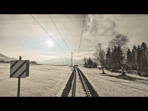 Führerstandsfahrt S31 Biberbrugg - Arth Goldau