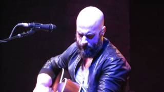 Daughtry - Wild Heart