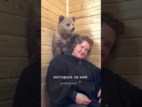 В парке по спасению животных«Земля Прайда»у медведицы появился друг-щенок по кличке Арбузик🙌.