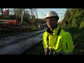 Ooievaarsnesten Lelystad extra beschermd bij werkzaamheden elektriciteitsmasten