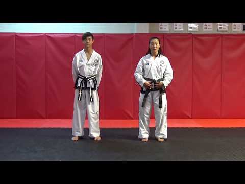 TAEKWON-DO - Front Snap Kick