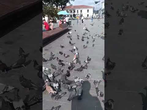 parque caldas Popayán Cauca Colombia 2026