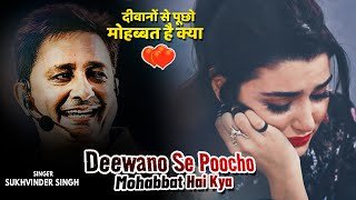 Deewanon Se Poochho Mohabbat Hai Kya❤️ !!Sukhwinder Singh !!Kurbaan!! Love Song
