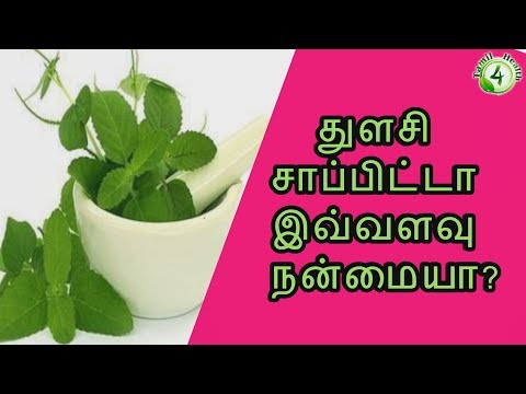 download lagu mp3 mp4 Thulasi Ilai, download lagu Thulasi Ilai gratis, unduh video klip Thulasi Ilai