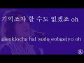 Park Shin Hye 박신혜 I Will Forget You Karaoke