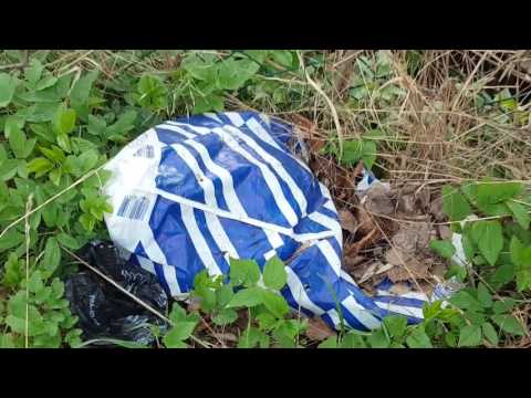 Müll, Müll  - überall nur Müll!