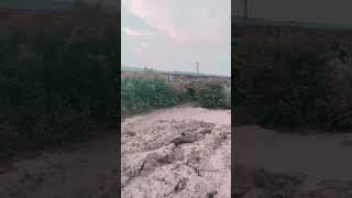 No caption #music #arrahman #coversong #ytshorts #train