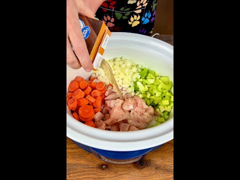 Crockpot Chicken & Dumplings | Easy Slow Cooker Comfort Food Recipe