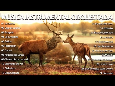 BELLISIMAS MELODIAS INMORTALES A GRAN ORQUESTA - ORQUESTADAS MAS BELLAS DE TODOS LOS TIEMPOS
