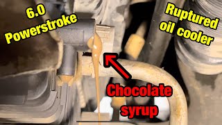 6.0 chocolate syrup oil cooler