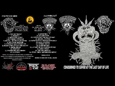 Agathocles / Pancreatite Noise - Condemned ...(Agathocles Side ) ‎(CDr, Album, Ltd)(Mincecore )