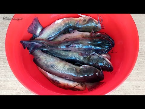 Канадского сомика готовлю только так * Fried catfish