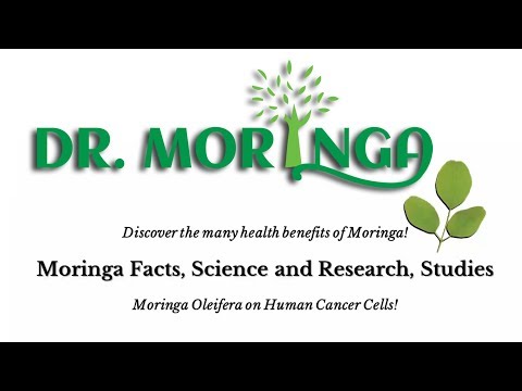 What IS MORINGA?