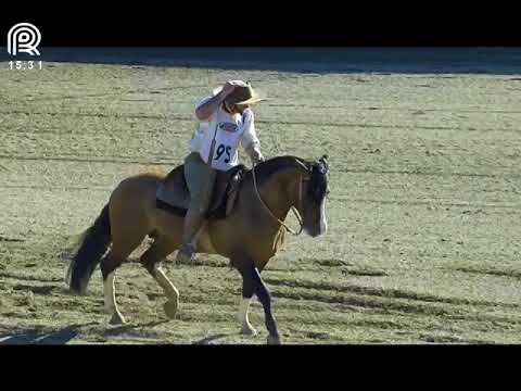 Final Freio de Ouro (RS) – 4th place males – Fichero do Capão Redondo (Proof: Bayard/Sarmento)