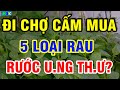 Ai Đi Chợ CẤM MUA 5 Loại Rau Này Kẻo RƯỚC UNG THƯ Về Nhà, Càng Ăn Càng SINH BỆNHH THỌ NON| THSK